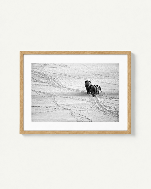 A framed black and white photographic print of two dogs running across a snowy field, set in a light natural wood frame with a white mat, displayed against a light beige wall.