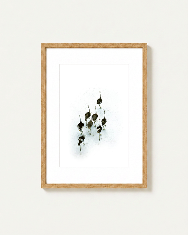 Framed wall art featuring a minimalist black ink illustration of ostriches on a white background, enclosed in a light natural wood frame with a white mat, shown against a neutral off-white wall.