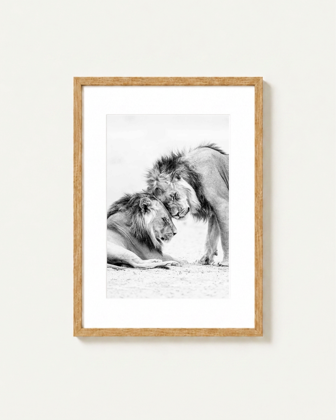 Framed black and white photographic print of two lions, one lying down and one standing, set in a light natural wood frame with a white mat against a light gray wall.