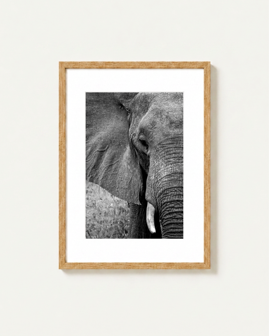 A framed black and white photographic print of an elephant's face and trunk, mounted with a white mat and a light natural wood frame on a plain off-white wall.