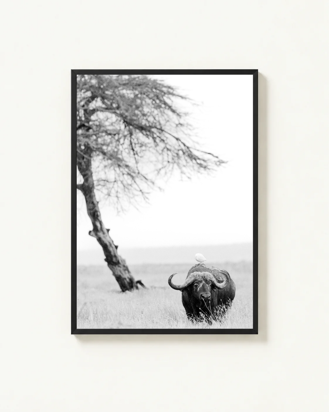 The Lone Warrior, Amboseli, Kenya