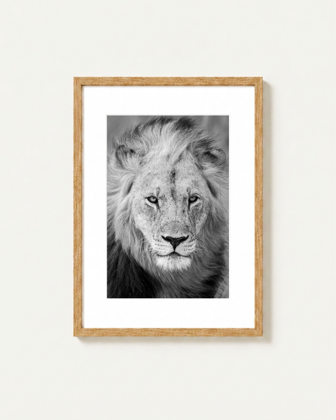 Portrait, Madikwe, South Africa
