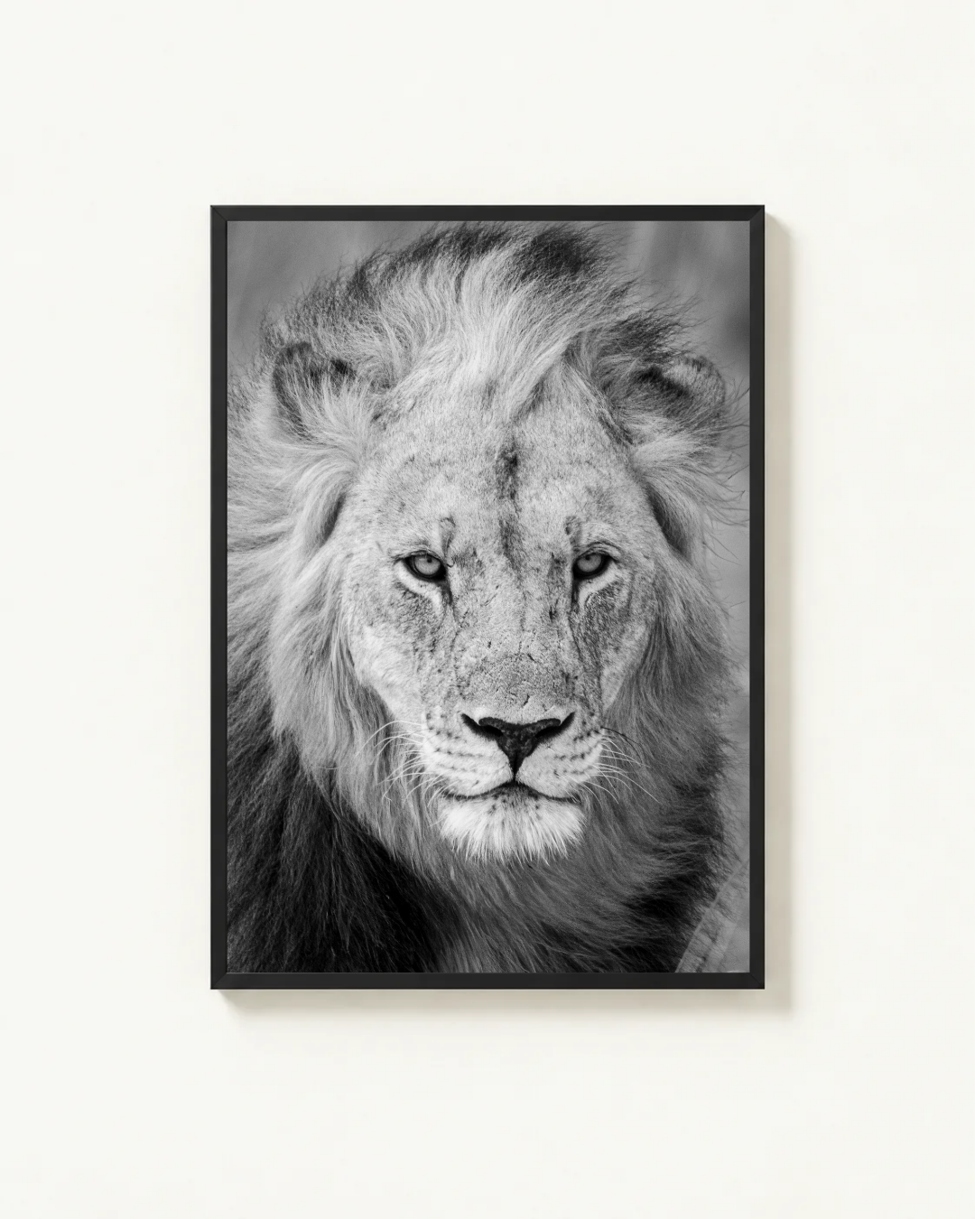 Portrait, Madikwe, South Africa