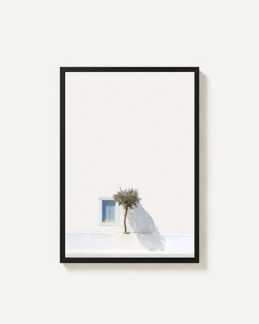 Olive Tree