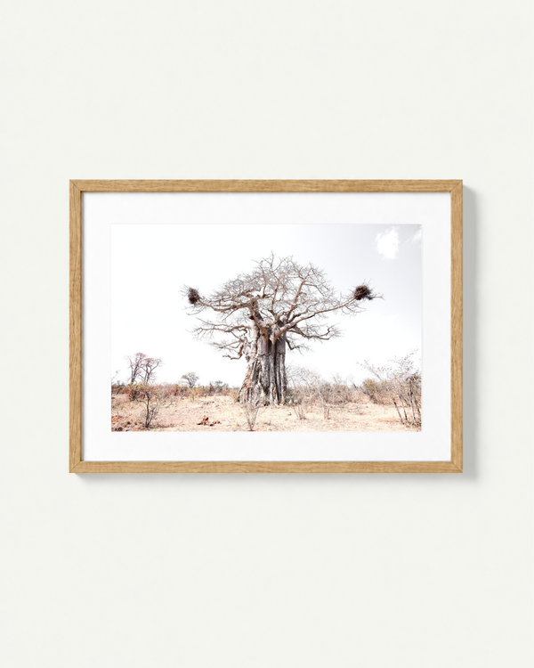 A framed art print depicting a desert landscape with a large leafless tree, sparse shrubs, and bird nests on its branches, set in a light wood frame against a white background.