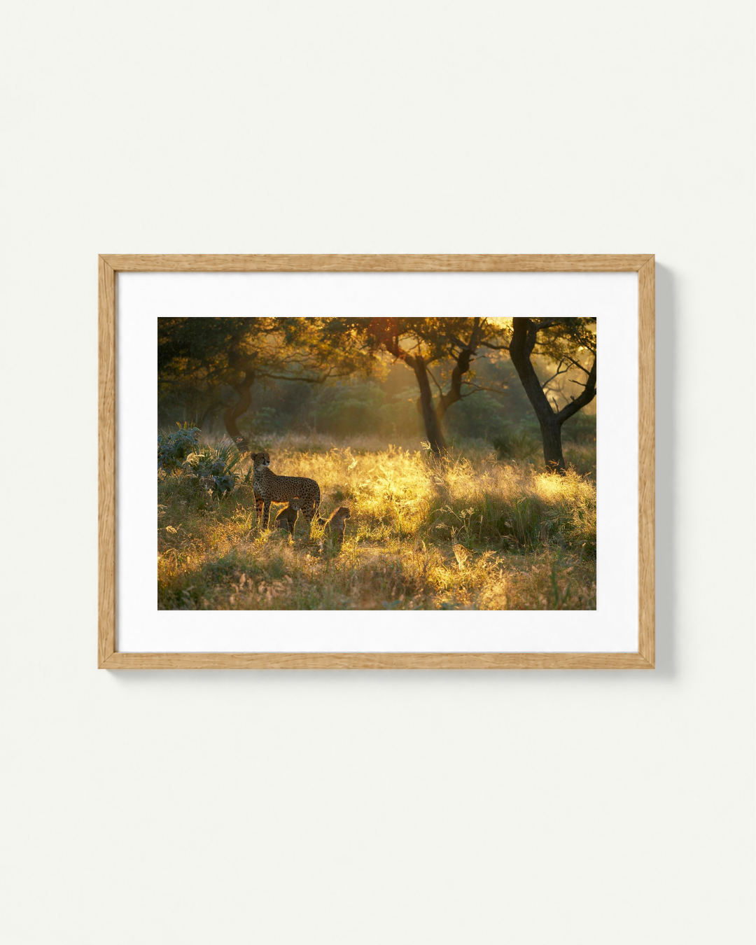 A framed landscape art print featuring a golden sunlit grassy field with trees and a deer, presented in a light wood frame with a white mat against a clean off-white background.