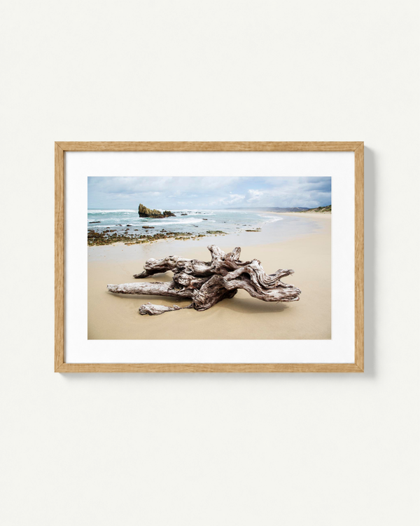 A framed photographic print of a beach scene featuring driftwood on the sand, with ocean waves and a cloudy sky, presented in a light wood frame with a white mat against a light beige wall.