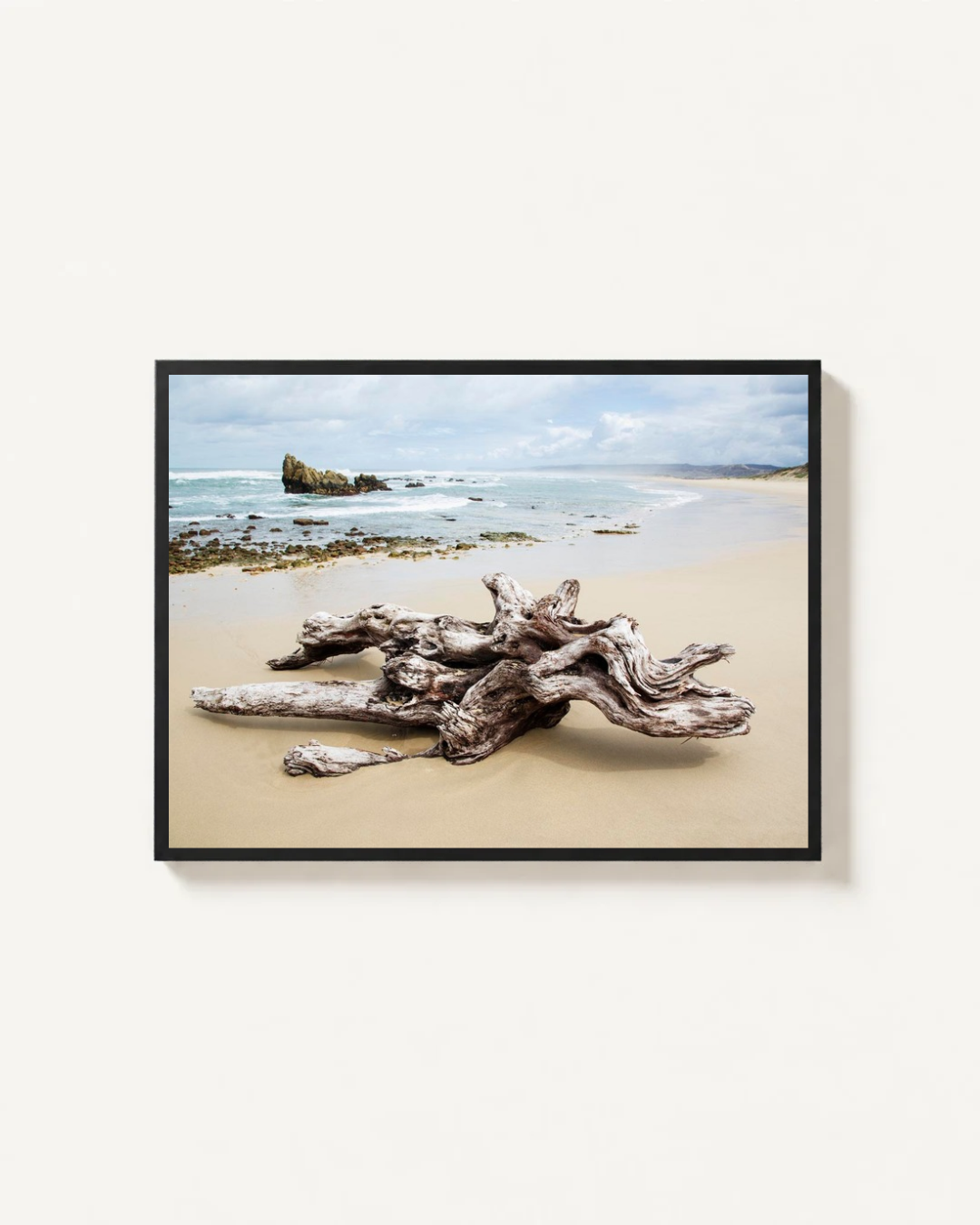 Driftwood, Goukamma, South Africa