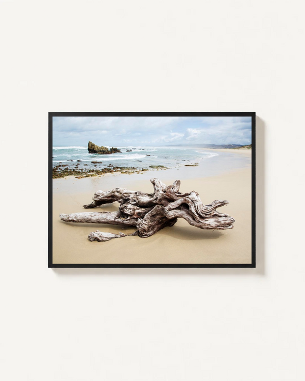Driftwood, Goukamma, South Africa