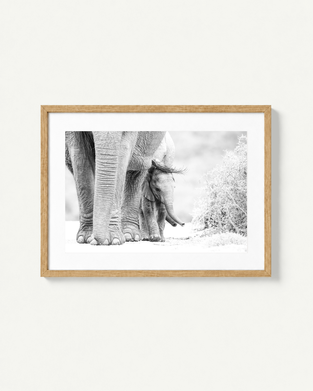 A framed black and white photographic print of an elephant and calf, displayed in a light natural wood frame against a clean off-white wall.