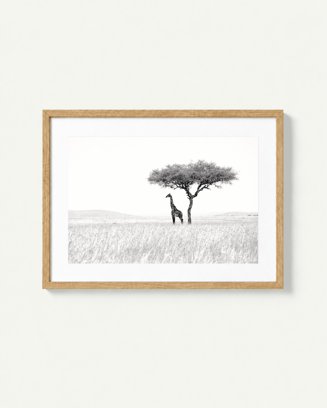 Framed black and white safari art print featuring a giraffe and acacia tree in a savanna landscape, housed in a light natural wood frame with a white mat, displayed on a clean off-white wall.