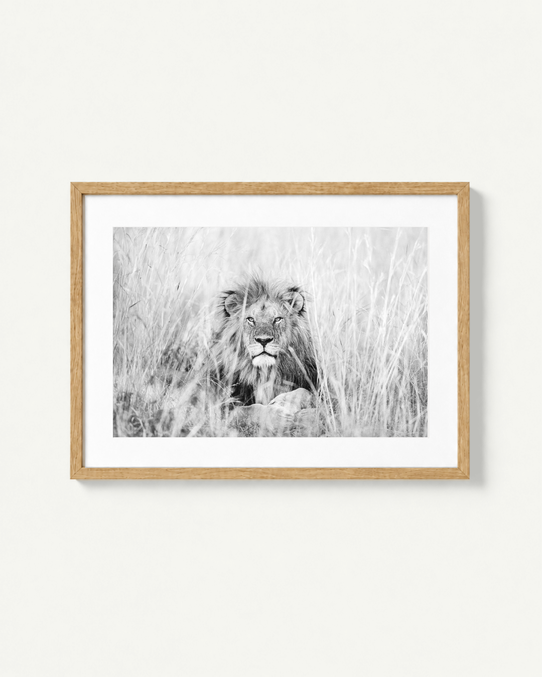 A framed black and white photographic print of a lion in tall grass, displayed in a light natural wood frame against a clean off-white wall.