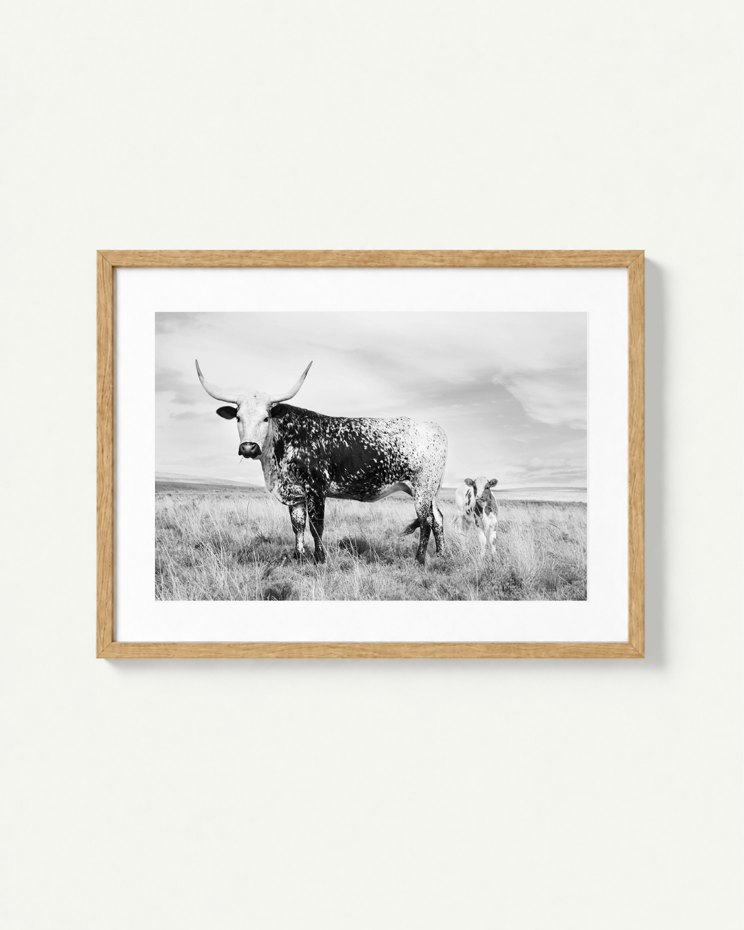 A framed black and white photograph of a spotted longhorn nguni cow standing in a grassy field with a calf behind it, displayed in a light natural wood frame against a plain off-white wall.