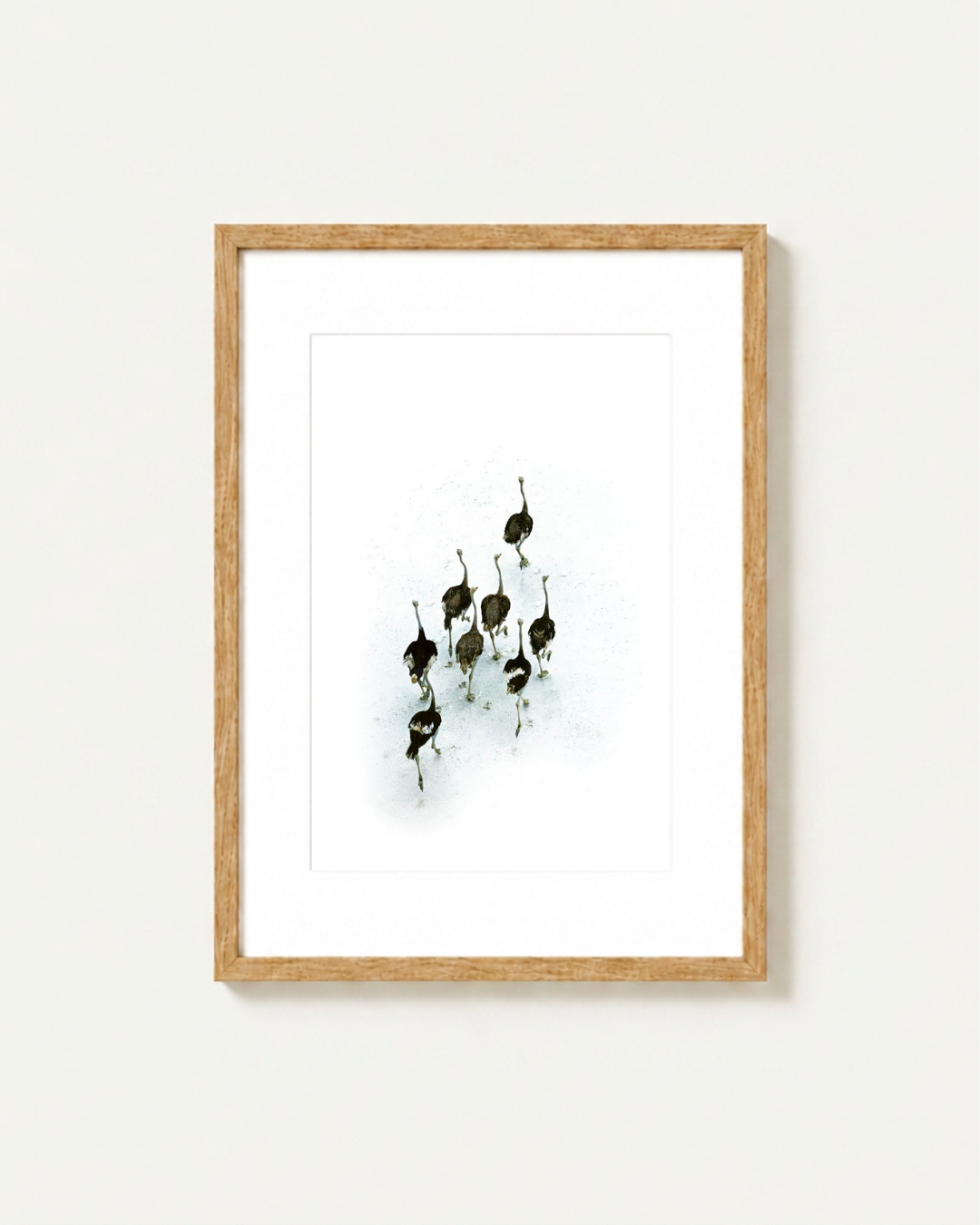 Framed wall art featuring a minimalist black ink illustration of ostriches on a white background, enclosed in a light natural wood frame with a white mat, shown against a neutral off-white wall.