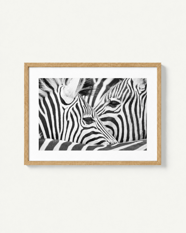 Framed black and white zebra print with a light wood frame and white mat, displayed on a light beige wall.