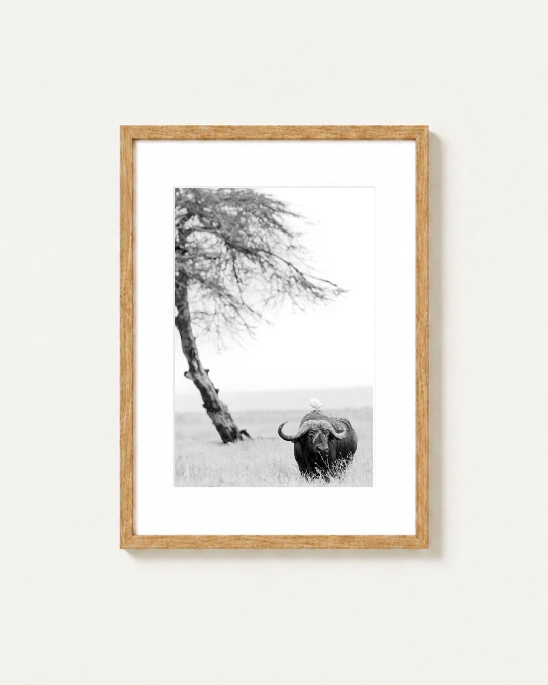 A framed black and white landscape photograph of a buffalo and a leaning tree in Amnboseli, presented in a light wood frame with a white mat against a neutral off-white wall.