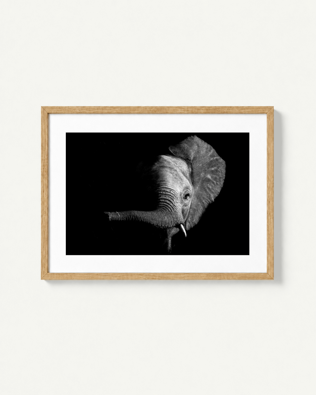 A framed black and white photographic print of an elephant head on a black background, mounted with a white mat in a light natural wood frame against a plain off-white wall.