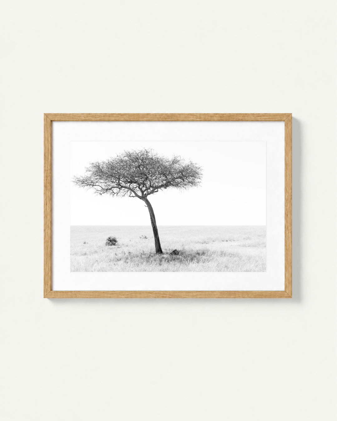 A framed black and white landscape photograph of a lion resting under a lone acacia tree in a grassy field in the Masai Mara, presented in a light natural wood frame against a clean off-white wall.
