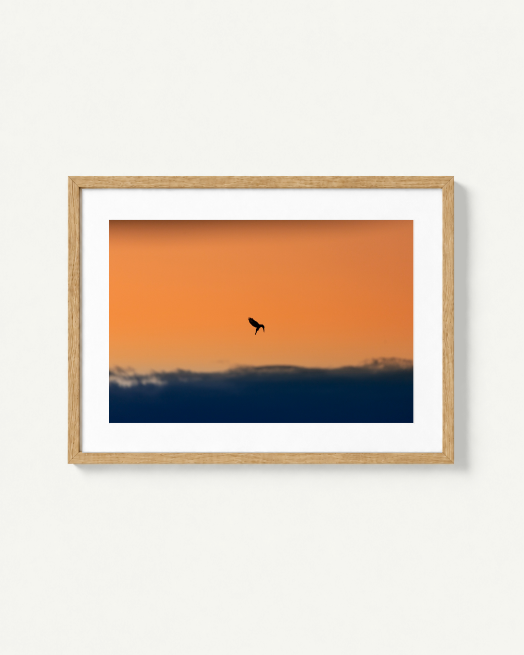 The Early Bird, Dinokeng, South Africa