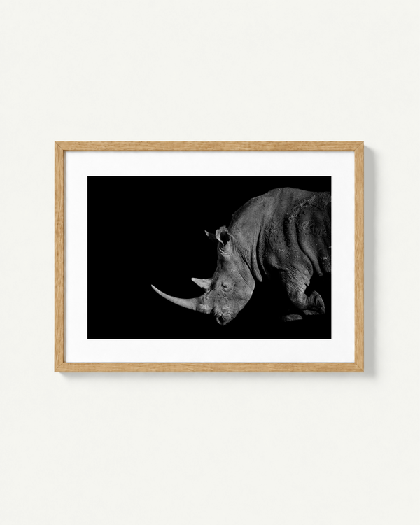 Framed black and white photographic print of a rhinoceros, shown in a light wood frame with a white mat against a clean off-white wall.