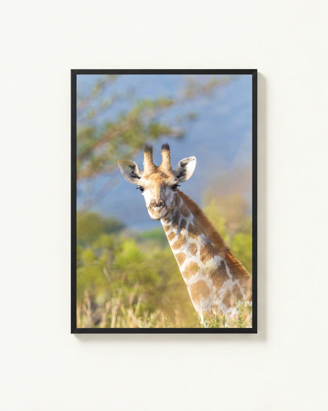 Grace, Madikwe, South Africa