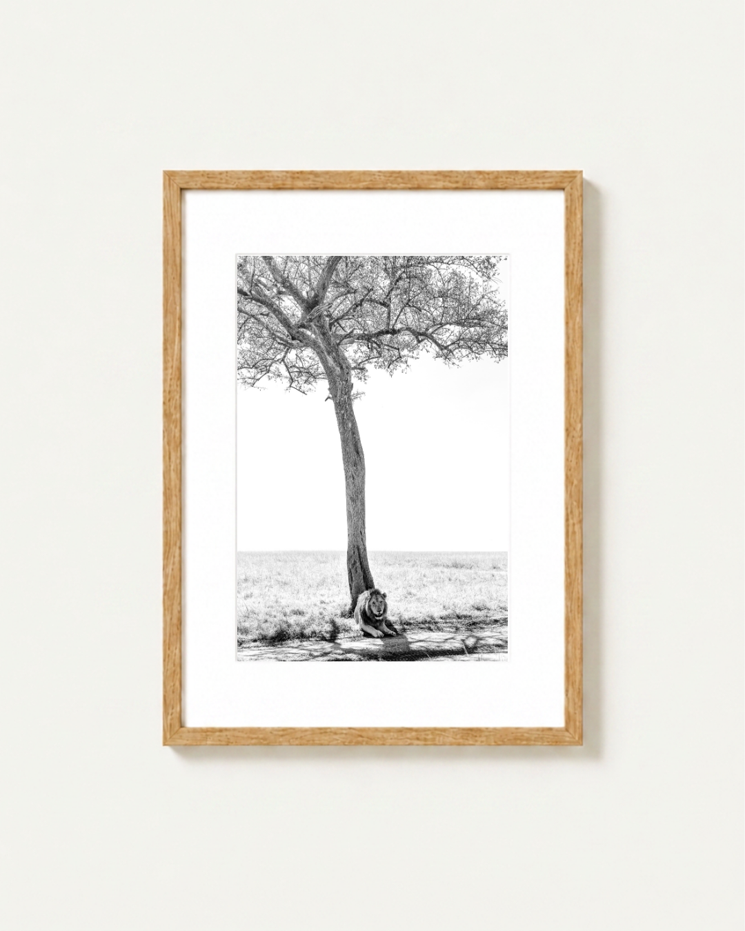 A framed black and white art print depicting a lion resting under a lone acacia tree in a flat Masai Mara landscape, mounted on a light beige wall. The print features a white mat border and is enclosed in a natural light wood frame.
